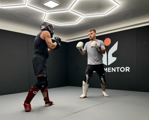Selbstschutz Personal Training Personal Training im Selbstschutz mit einem Trainer und einem Teilnehmer beim Techniktraining im EliteMentor Training Lab.